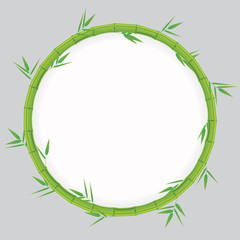 Fototapeta premium Green bamboo background. Vector illustration