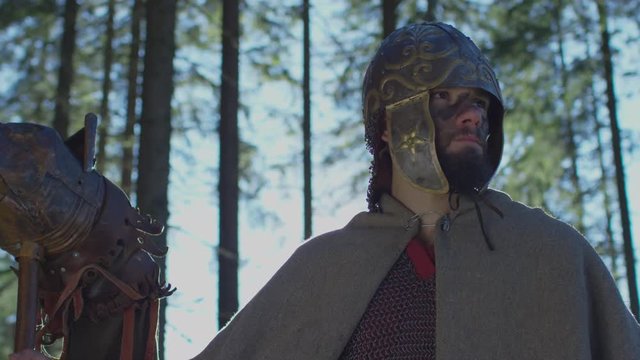 Warrior holding the Dacian Draco