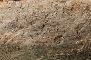 Rough wooden surface close up