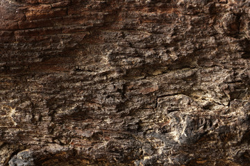 Rough wooden surface close up