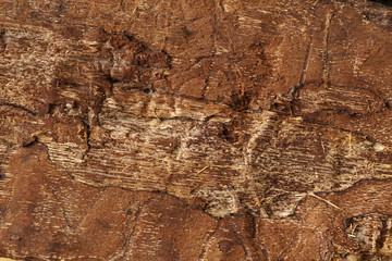 Rough wooden surface close up