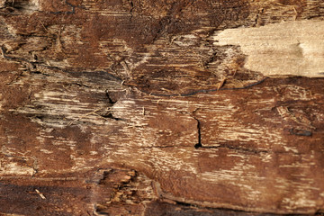 Rough wooden surface close up