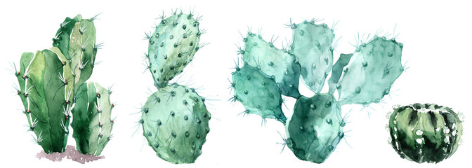 Cotton fabric Watercolor set of cactus isolated illustration on a white background
