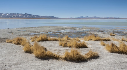 Laguna y Termas de Polques hot spring pool with Salar de Chalviri in background, Salar de Uyuni, Potosi, Bolivia - South America	