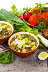 Green Russian Potato, Spinach, and Sorrel Soup with egg. Selective focus.