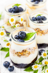 Greek Yogurt with Blueberries and Granola Parfait. Selective focus.