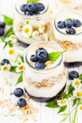 Greek Yogurt with Blueberries and Granola Parfait. Selective focus.