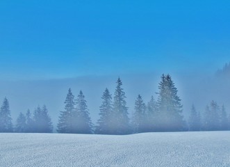 Winterlandschaft zwischen Sonne und Nebel
