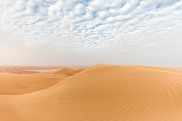 Fototapeta na wymiar Beautiful remote sandy desert landscape of golden dunes in Liwa desert in Empty Quarter. Abu Dhabi, UAE.