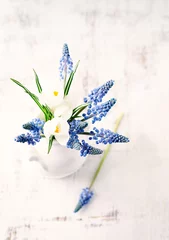 Crédence de cuisine en verre imprimé Crocus Grape hyacinths and white crocus flowers in a vase