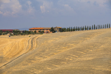 Fototapeta na wymiar Tuscany: the road from Asciano to Siena