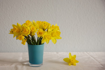 Yellow daffodils in a blue vase