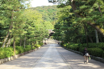 side walk in the park