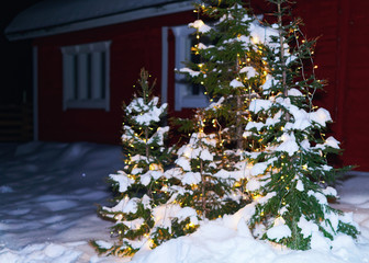 Christmas tree at house in winter Lapland