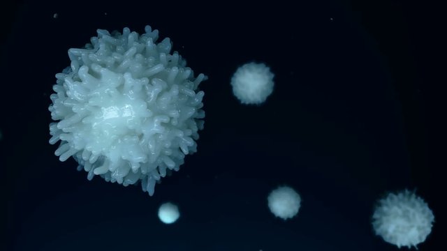 Lymphocyte (Leukocyte). Medically accurate 3D representation of an electron microscope view.