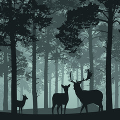 Deep forest with deer, doe and fawn