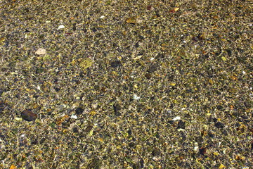 stones in the river