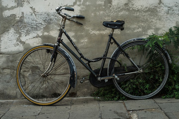 bicycle parked on a wall