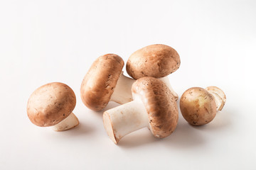 Fresh mushrooms isolated on white background