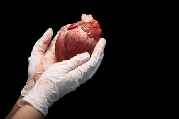 abstract organ transplantation. A human heart in woman's hand. Saving lives hopelessly sick. Complex surgical operations. International crime. Assassins in white coats. isolated on black background