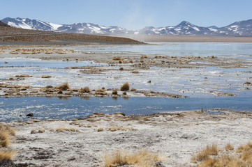 Laguna y Termas de Polques hot spring pool with Salar de Chalviri in background, Salar de Uyuni, Potosi, Bolivia - South America	