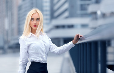 Fototapeta premium Attractive young businness woman.