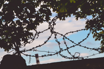 Barbed wire on a fence against the background of a factory pipe, a tree leaf and a cloudy sky, Belarus