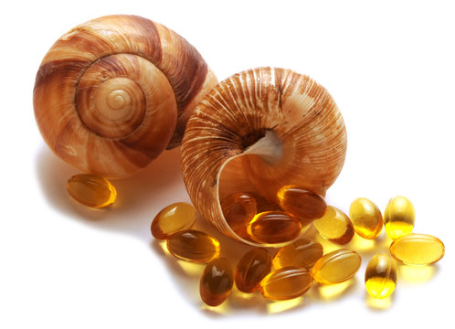 Escargot Chiocciola Caragol de terra Snail &Sigma;&alpha;&lambda;&iota;&gamma;&kappa;ά&rho;&iota; Шуйсем