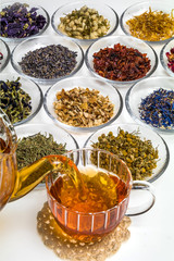 Fototapety  世界のハーブティー　Herbal tea of ​​the world