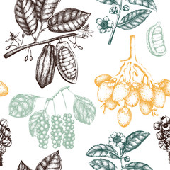 Vector background with tonic and spicy plants. Hand drawn seamless pattern with spices illustrations. Vintage aromatic elements. Sketched flowers, leaves, seeds, fruits, nuts, beans.