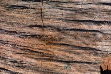 Asse di legno grezzo