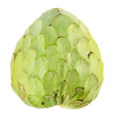 Green cherimoya fruit isolated on white background