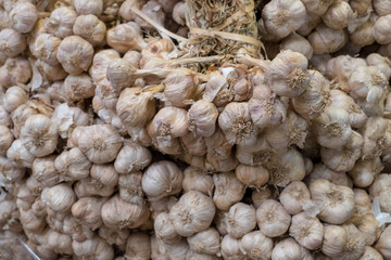 lot of garlics in market prepare for sale to be food material and cooking for Asia Food style