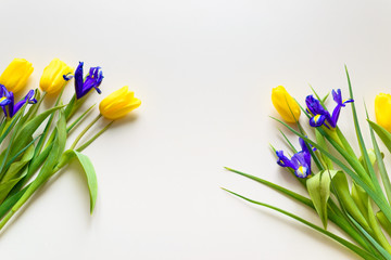 Flower bouquet of tulips on white background