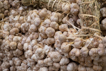 lot of garlics in market prepare for sale to be food material and cooking for Asia Food style
