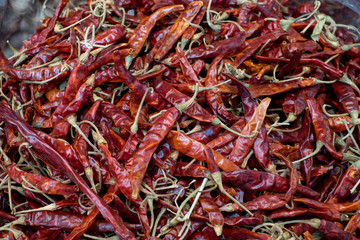 Fototapeta premium Pure red whole dried chillies pepper in Thailand local market use for cooking spicy food and herb