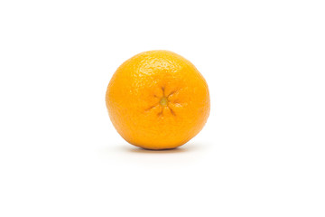 Orange with wihte background