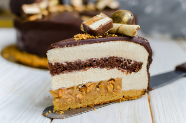 Delicious chocolate cake with biscuit, mousse layers, sweets and peanuts.