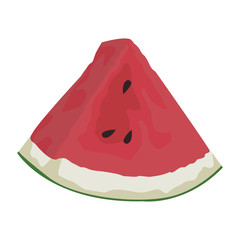 Watermelon fruit isolated vector illustration graphic design