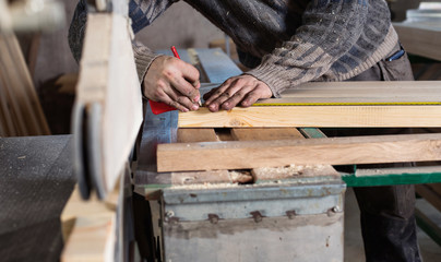 Carpenter working in workshop
