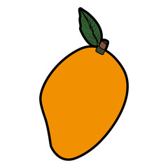 Mango sweet fruit vector illustration graphic design