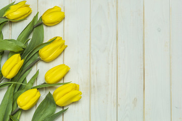 Yellow tulips on white boards. Bouquet of flowers.