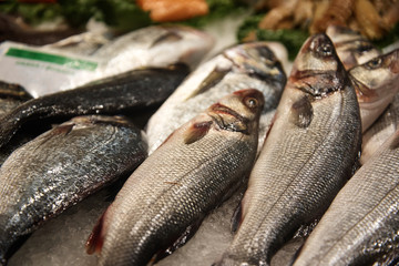 Fresh fish at the market stand.
