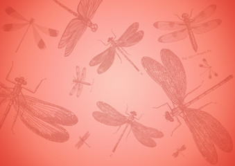  background with dragonfly pink. фон стрекоза розовый