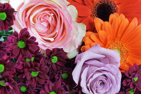 Santinis Bilder Durchsuchen 1,613 Archivfotos, und