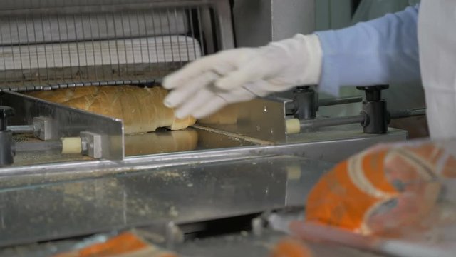 Packing line of long loaves in a bakery.