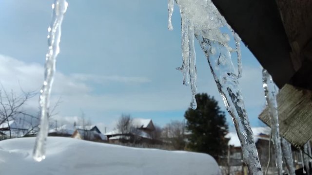 spring in village, melting icicles