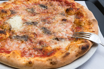 Tasty Italian pizza with anchovies