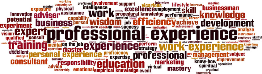 Professional experience word cloud