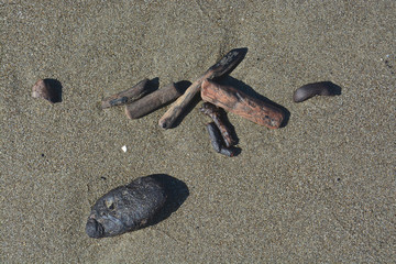 Mikado aus Treibh&ouml;lzern